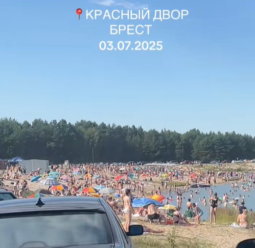 Может ли характер критических высказываний в интернете указывать на заболевания внутренних органов? Есть ли связь, психосоматическая или иная?